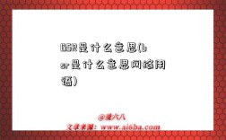 BSR是什么意思(bsr是什么意思網絡用語)