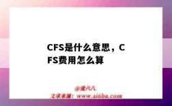 CFS是什么意思，CFS費用怎么算（CFS費用是什么意思）