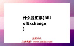 什么是匯票(BillofExchange)（什么是匯票簡單解釋）