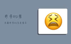 跨境erp排行榜,跨境erp系統排名