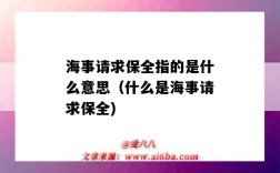 海事請求保全指的是什么意思（什么是海事請求保全)