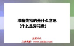 滯箱費指的是什么意思（什么是滯箱費)