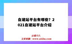 自建站平臺有哪些？2021自建站平臺介紹（自建站哪個平臺好）