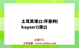 土耳其港口:開塞利(kayseri)港口（土耳其常用港口）