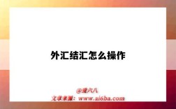 外匯結匯怎么操作（外匯結匯怎么操作義烏）