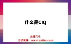 什么是CIQ（什么是瓷器）