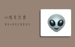 sn碼是什么意思,sn碼是什么意思啊