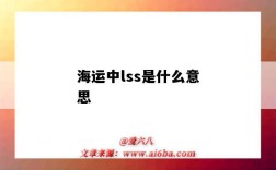 海運中lss是什么意思（海運LSS是什么意思）