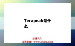 Terapeak是什么（terapeak是什么意思）