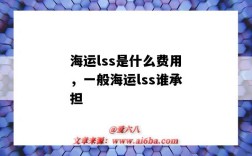 海運lss是什么費用，一般海運lss誰承擔（海運費LSS）