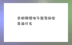 長沙跨境電子商務協會是指什么