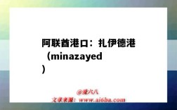 阿聯酋港口：扎伊德港（minazayed）（阿聯酋的港口）