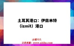 土耳其港口：伊茲米特（izmit）港口（土耳其izmir港口）