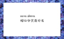 nava sheva港口中文是什么