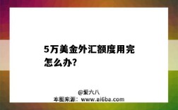 5萬美金外匯額度用完怎么辦？