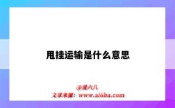 甩掛運輸是什么意思（甩掛運輸是什么意思生產與運作計劃為4年的）