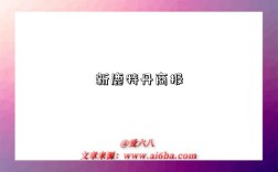 新鹿特丹商報