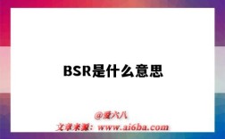 BSR是什么意思（藍天救援bsr是什么意思）