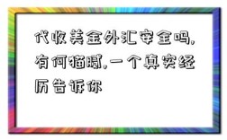 代收美金外匯安全嗎,有何貓膩,一個真實經歷告訴你