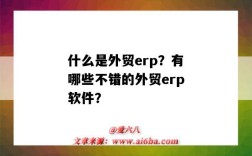 什么是外貿erp？有哪些不錯的外貿erp軟件？（外貿erp軟件都有哪些）