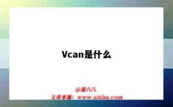 Vcan是什么（vcan是什么意思）