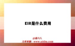 EIR是什么費用（海運eir是什么費用）