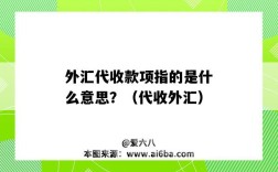 外匯代收款項指的是什么意思？（代收外匯）