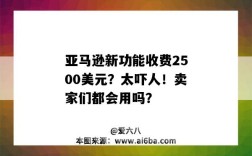 亞馬遜新功能收費2500美元？太嚇人！賣家們都會用嗎？（亞馬遜要收費嗎）