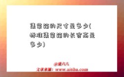 集裝箱的尺寸是多少(標準集裝箱的長寬高是多少)