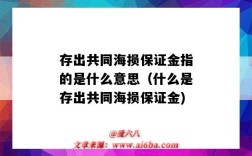 存出共同海損保證金指的是什么意思（什么是存出共同海損保證金)