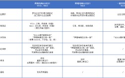 跨境電商B2B,9610,9710,9810于2021年7月1日全國海關開放試點