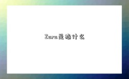 Zara是指什么