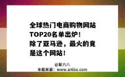 全球熱門電商購物網站TOP20名單出爐！除了亞馬遜，最火的竟是這個網站！