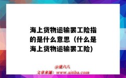 海上貨物運輸罷工險指的是什么意思（什么是海上貨物運輸罷工險)