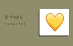 北京ddp,北京DDpay網絡科技有限公司