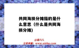 共同海損分攤指的是什么意思（什么是共同海損分攤)