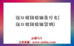 出口信用保險是什么(出口信用保險案例)