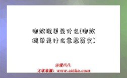 電放提單是什么(電放提單是什么意思英文)