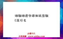 檢驗檢疫申報回執查驗C是什么