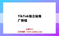 TikTok獨立站推廣教程（tiktok如何推廣）