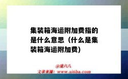 集裝箱海運附加費指的是什么意思（什么是集裝箱海運附加費)