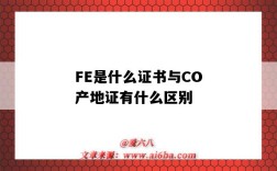 FE是什么證書與CO產地證有什么區別（產地證co和fe的區別）