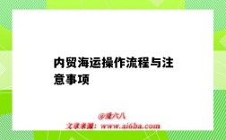 內貿海運操作流程與注意事項（內貿海運流程包括哪些環節）