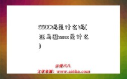 SSCC碼是什么碼(亞馬遜sscc是什么)