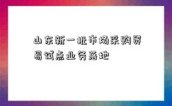 山東新一批市場采購貿易試點業務落地