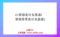 A+頁面是什么意思(頁面異常是什么原因)