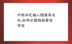 代收外匯陷入騙局怎么辦,如何才能確保資金安全