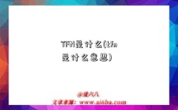 TFN是什么(tfn是什么意思)