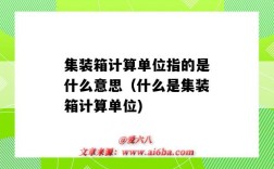 集裝箱計算單位指的是什么意思（什么是集裝箱計算單位)