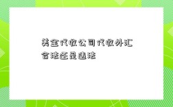 美金代收公司代收外匯合法還是違法